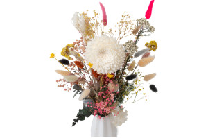 chrysantheme-sola-blume-m-8.