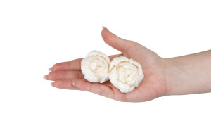 pivoine-sola-flower-s-8.