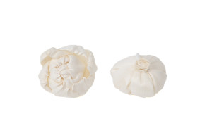 pivoine-sola-flower-s-8.