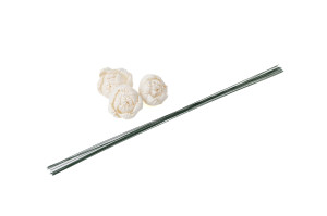 pivoine-sola-flower-s-8.