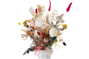 pivoine-sola-flower-s-8.