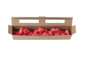 peony-sola-flower-s-8.