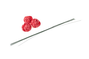 pivoine-sola-flower-s-8.