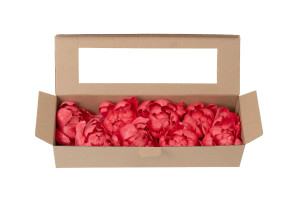 pivoine-sola-flower-m-8.