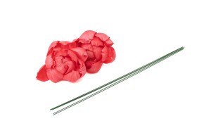 pivoine-sola-flower-m-8.