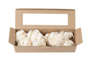 pivoine-sola-flower-m-8.