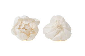 peony-sola-flower-m-8.