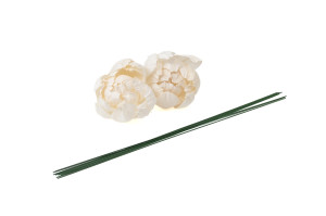 peony-sola-flower-m-8.