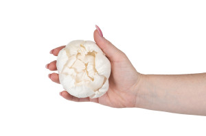 pfingstrose-sola-blume-m-8.