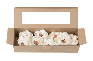 pivoine-sylvestre-sola-flower-m-8.