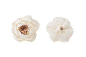 wild-peony-sola-flower-m-8.