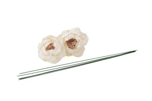 pivoine-sylvestre-sola-flower-m-8.