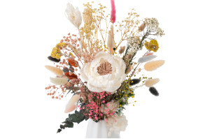 wild-peony-sola-flower-m-8.