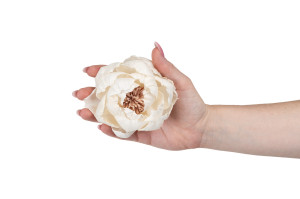 pivoine-sylvestre-sola-flower-m-8.