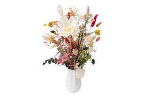 magnolie-sola-blume-8.