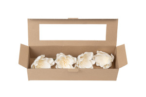 magnolia-sola-flower-8.