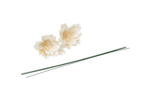 magnolie-sola-blume-8.