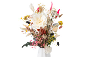 magnolie-sola-blume-8.