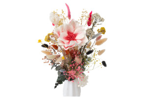 magnolie-sola-blume-8.