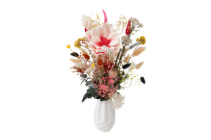 magnolia-sola-flower-8.