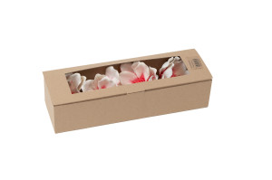 magnolia-sola-flower-8.