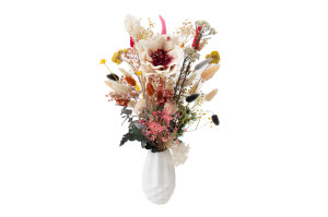 magnolie-sola-blume-8.