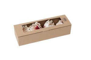 magnolia-sola-flower-8.