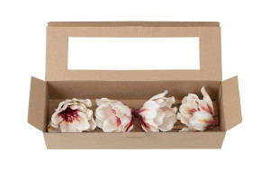 magnolia-sola-flower-8.