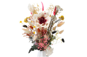 magnolie-sola-blume-8.