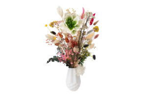 magnolie-sola-blume-8.