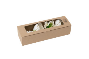 magnolia-sola-flower-8.