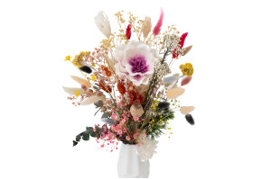 magnolie-sola-blume-8.