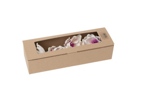 magnolia-sola-flower-8.