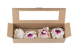 magnolie-sola-blume-8.