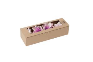 magnolia-sola-flower-8.