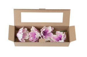 magnolie-sola-blume-8.