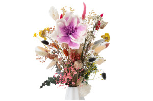 magnolie-sola-blume-8.