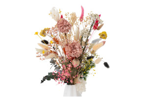 oeillet-sola-flower-m-29.