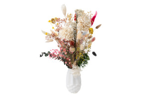 dahlie-sola-blume-l-29.