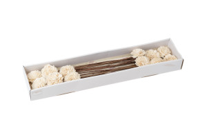 dahlia-sola-flower-l-29.