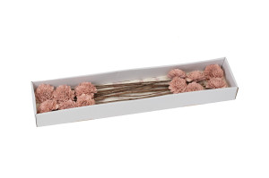 dahlie-sola-blume-l-29.