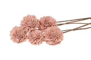 dahlia-sola-flower-l-29