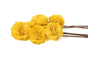 cabbage-rose-sola-flower-m-29