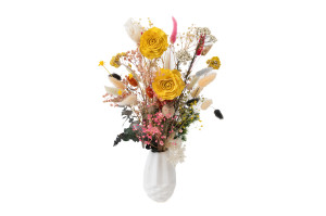 cabbage-rose-sola-flower-m-29.