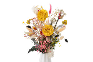 cabbage-rose-sola-blume-m-29.