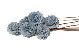 cabbage-rose-sola-blume-m-29.