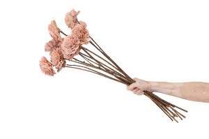 dahlie-sola-blume-l-29.