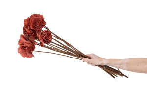 cabbage-rose-sola-flower-l-29.