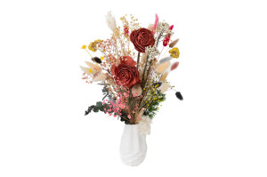 cabbage-rose-sola-blume-l-29.