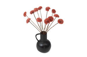 chrysanthemum-sola-flower-m-29.